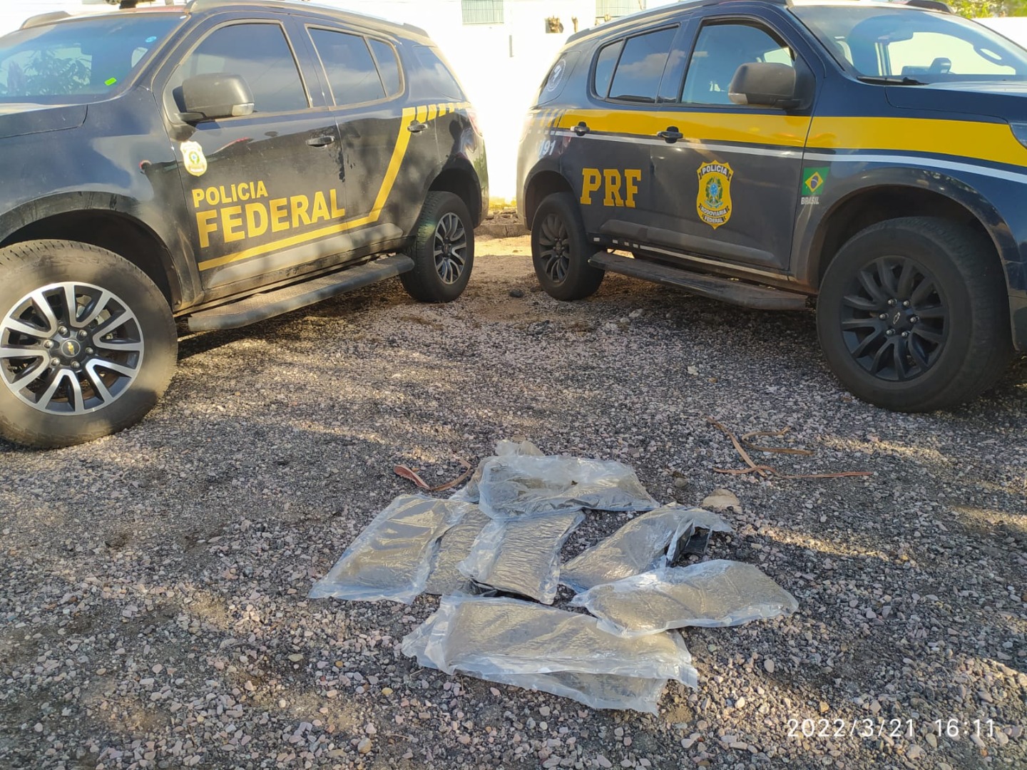 Operação integrada entre PRF e PF resulta em apreensão de Skunk