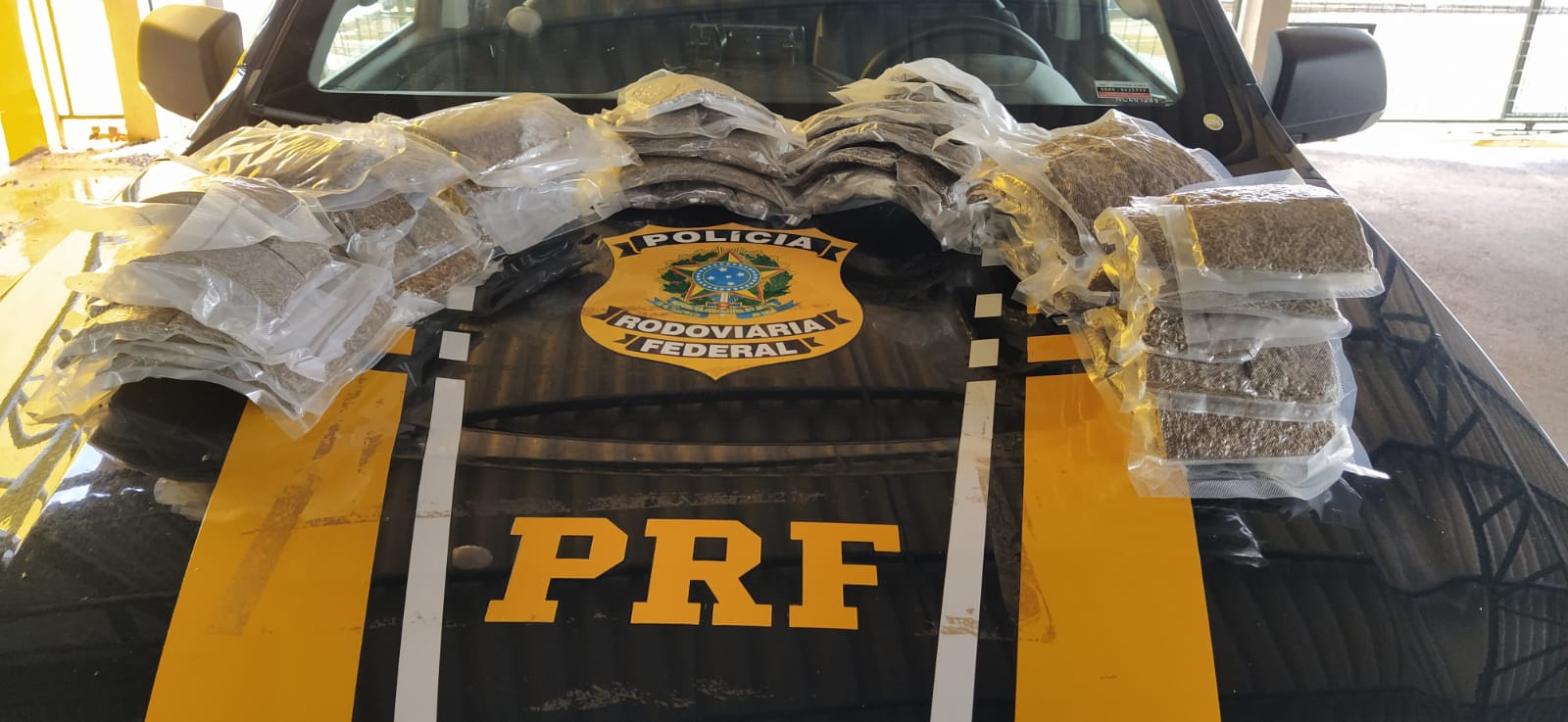 Em Ji-Paraná/RO, PRF apreende mais de 11 KG de Maconha
