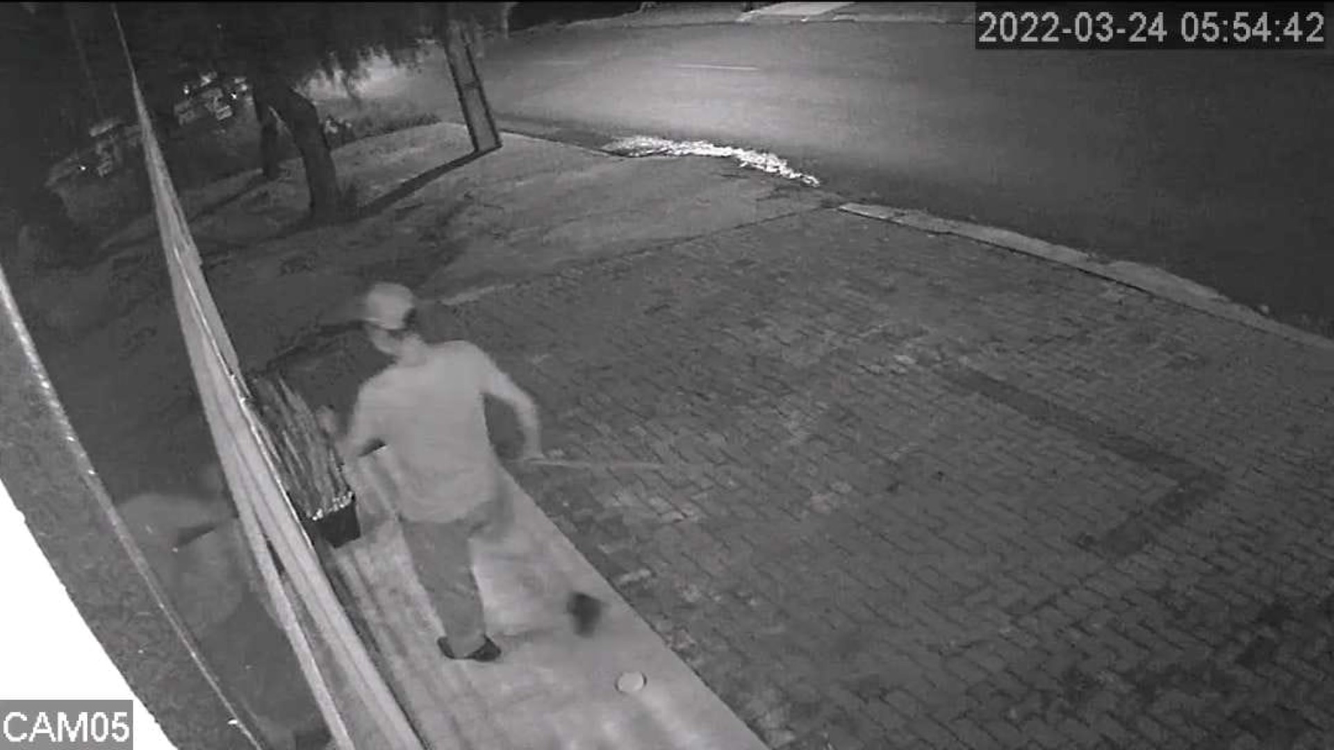 Loja no Bairro Universitário é furtada; veja imagens