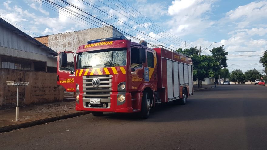 Cachorrinho cai dentro de fossa e Corpo de Bombeiros é mobilizado para resgate