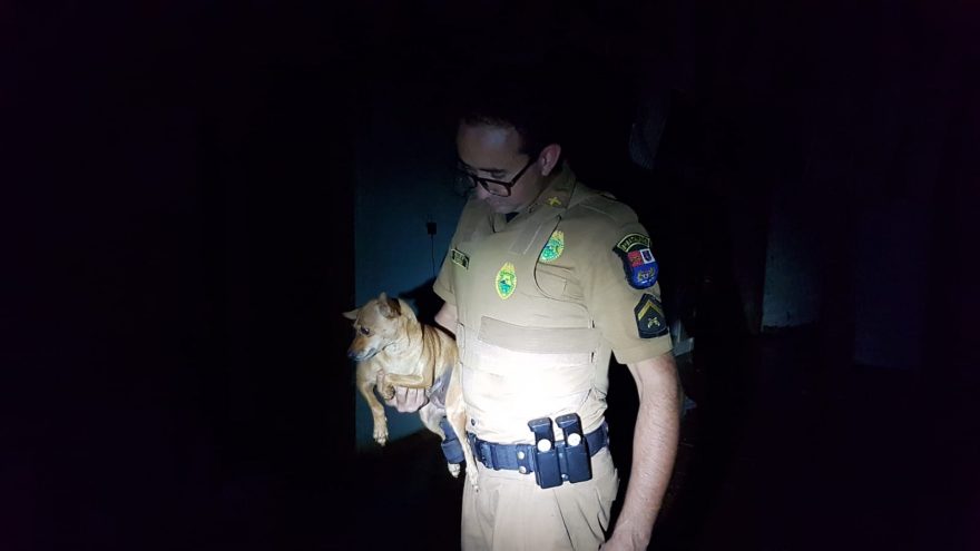 Polícia Militar salva cachorro de incêndio em residência no Interlagos