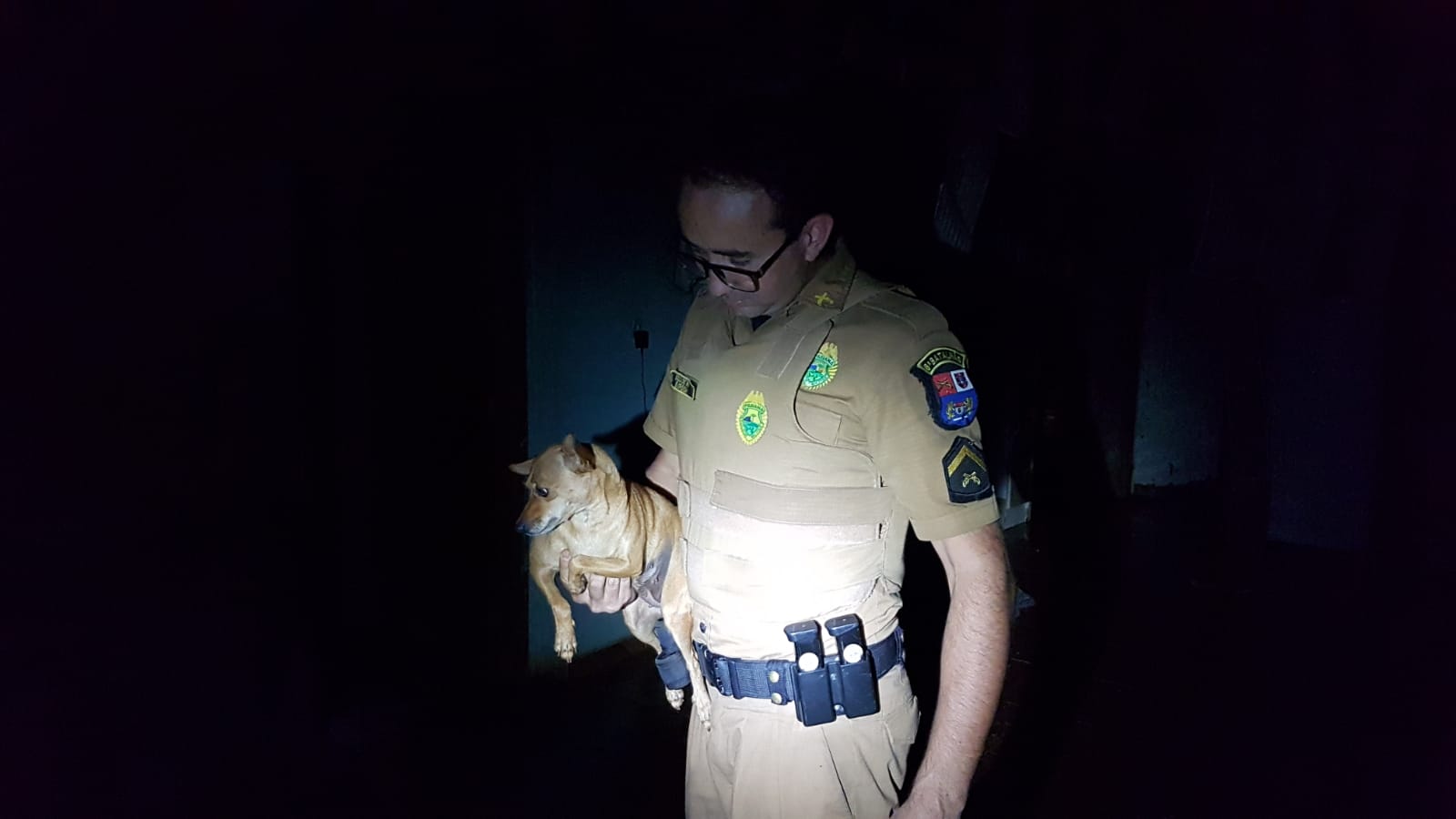 Polícia Militar salva cachorro de incêndio em residência no Interlagos