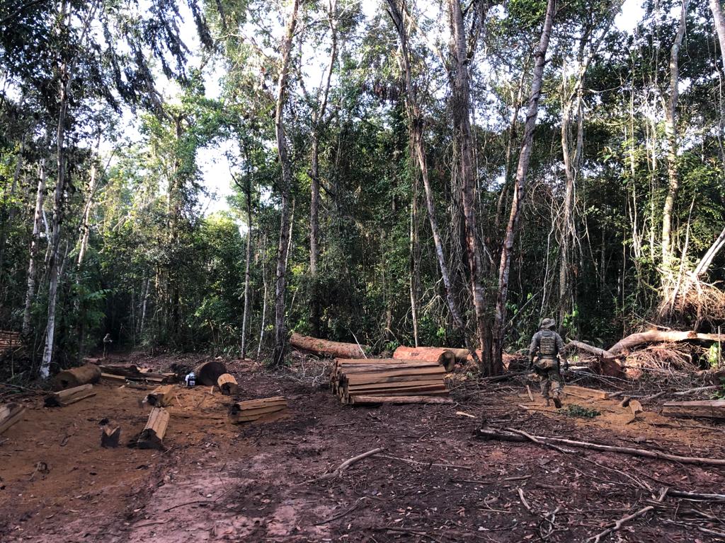 Operação Onipresente combate crimes ambientais em terras indígenas