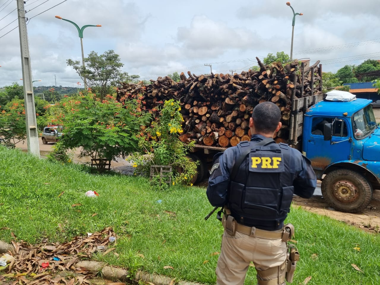 Madeira ilegal: PRF apreende 28,4 m³ na BR-226