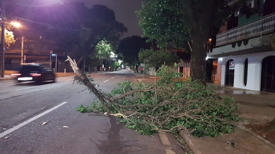Previsão do Tempo: dia começa gelado com mínima de 10ºC e rajadas de ventos de 66 km/h