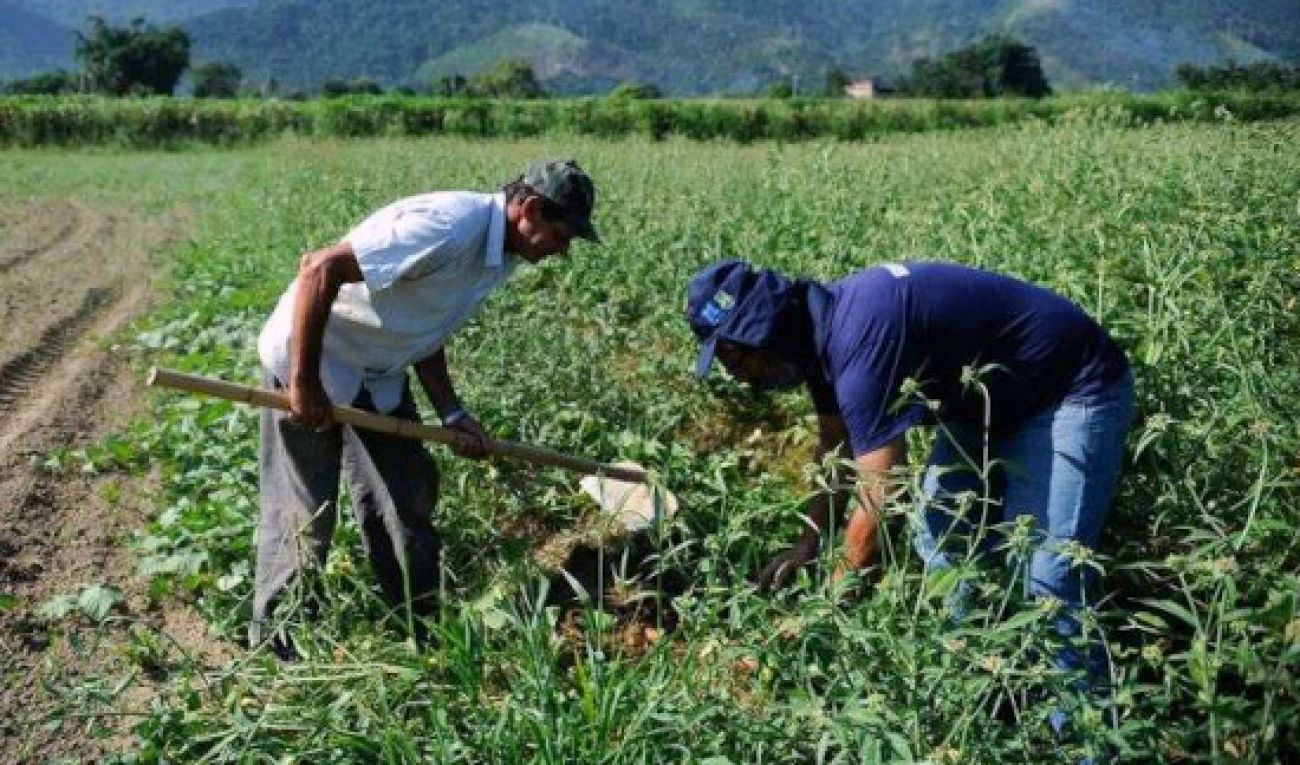 Aluguel de imóvel urbano não impede aposentadoria rural