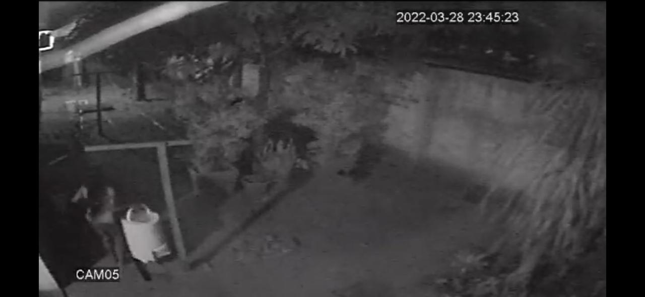 Polícia Civil recupera centrífuga e indicia autora de furto majorado em Iguatemi