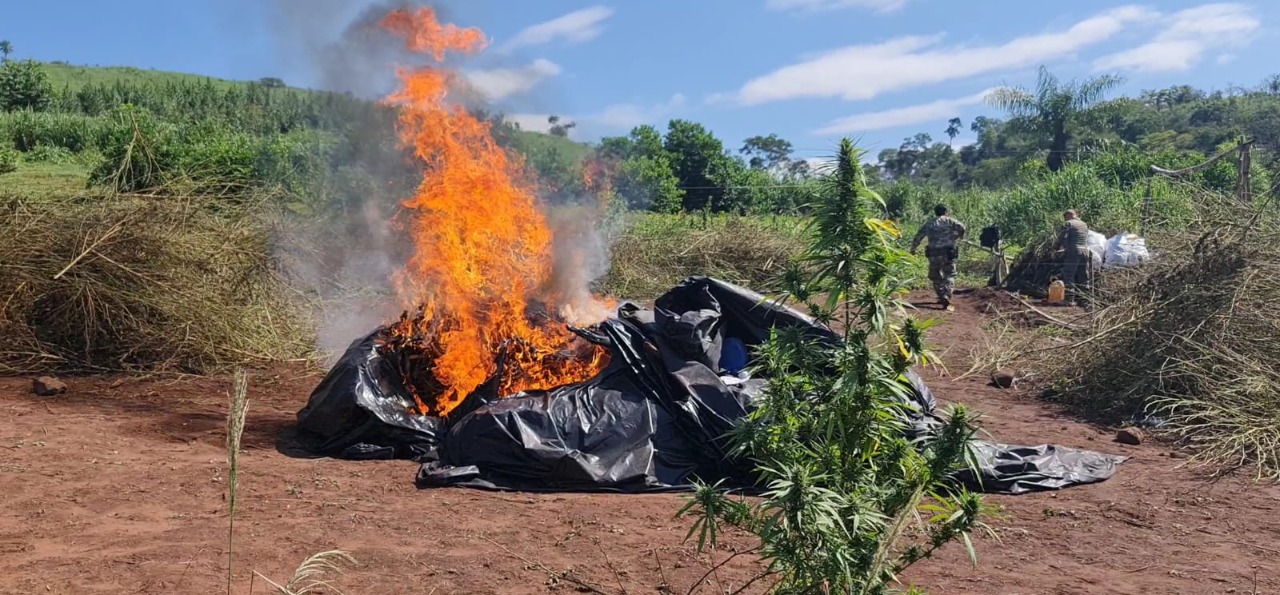 748 toneladas de maconha são destruídas na 30ª fase da Operação Nova Aliança no Paraguai