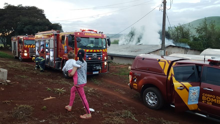 Incêndio deixa diversas espécies de peixes mortas no interior de Cascavel
