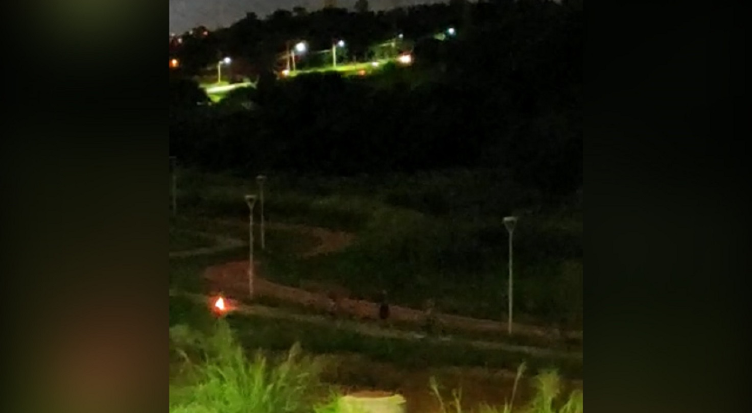 Internauta denuncia atos de vandalismo no Ecopark oeste, em Cascavel Internauta denuncia atos de vandalismo no Ecopark oeste, em Cascavel