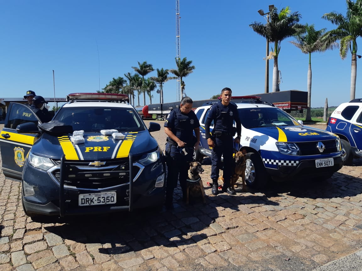 Operação conjunta da PRF com a GCM de São José do Rio Preto apreende haxixe na BR 153