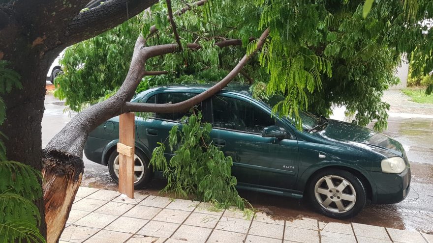 Galho de árvore quebra e cai em cima de veículo na Rua Rui Barbosa