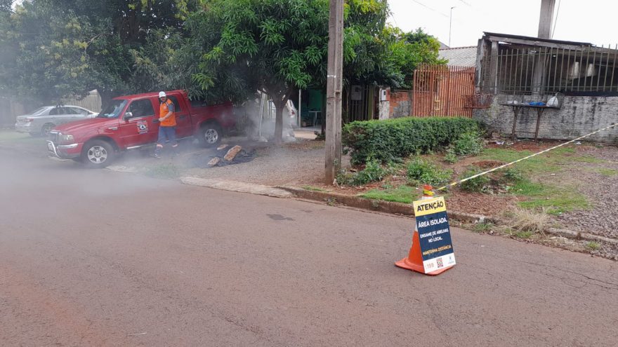 Abelhas trazem risco a moradores no Santo Onofre e Defesa Civil é acionada para retirada de enxame