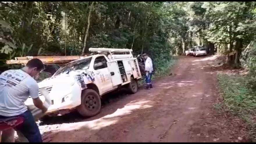 Enxame de abelhas impedia ‘religamento’ de energia em Rio do Salto; Defesa Civil é acionada em apoio