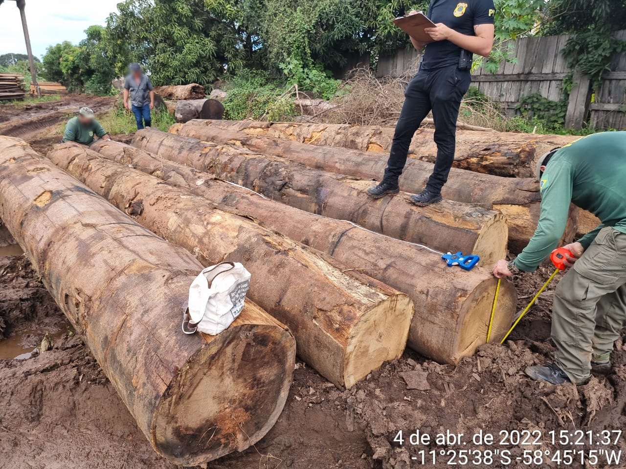 Operação Onipresente combate crimes ambientais no norte de Mato Grosso