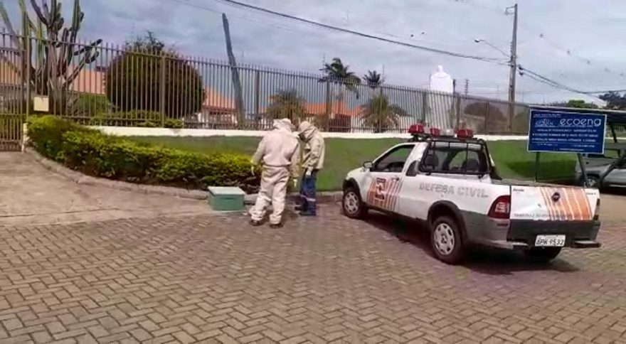 Defesa Civil remove enxame de abelhas no Abrigo São Vicente de Paulo