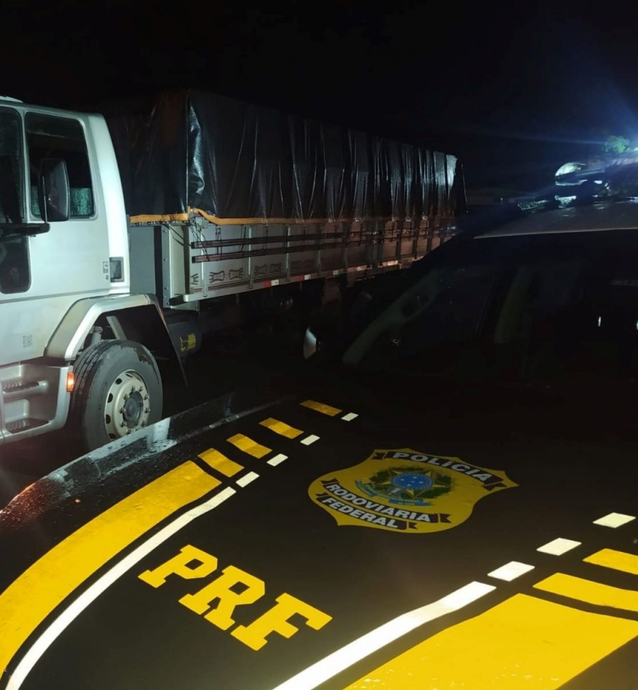 PRF realiza apreensão de aproximadamente 109 metros cúbicos de madeira.