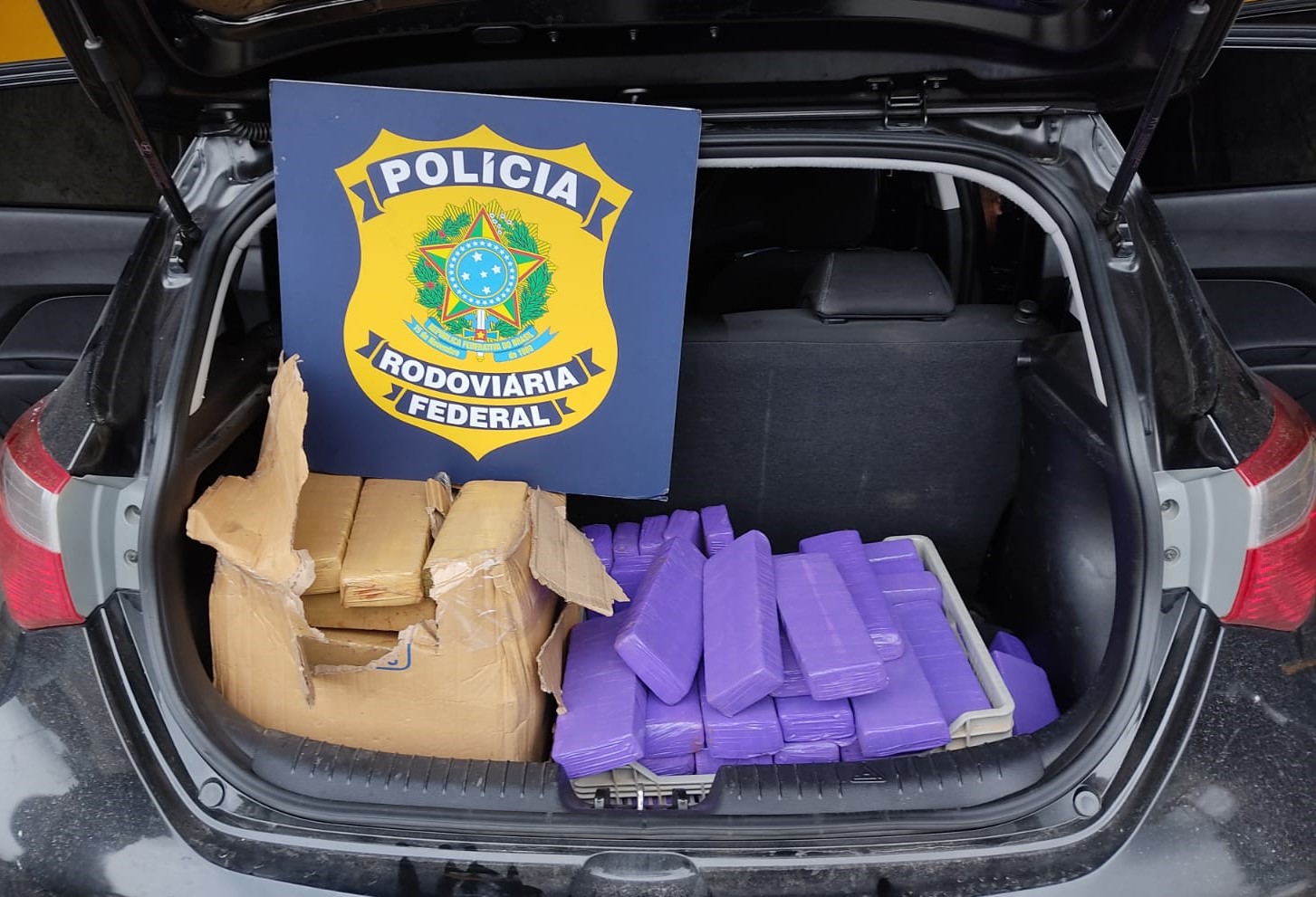 Homem procurado pela justiça é preso com 125 quilos de maconha na BR 101