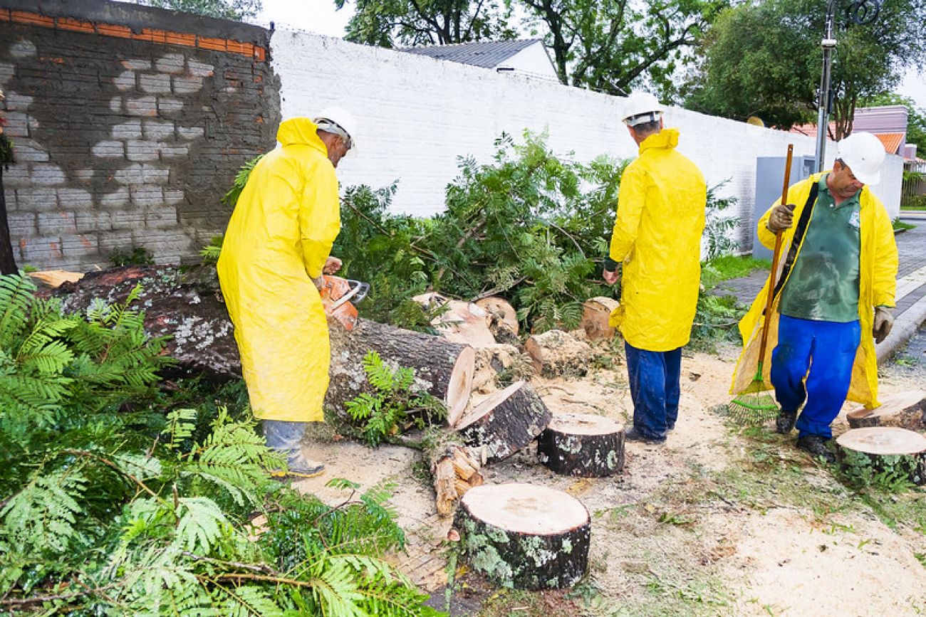 Equipes da Defesa Civil atuam na retirada de árvores e galhos derrubados pela chuva