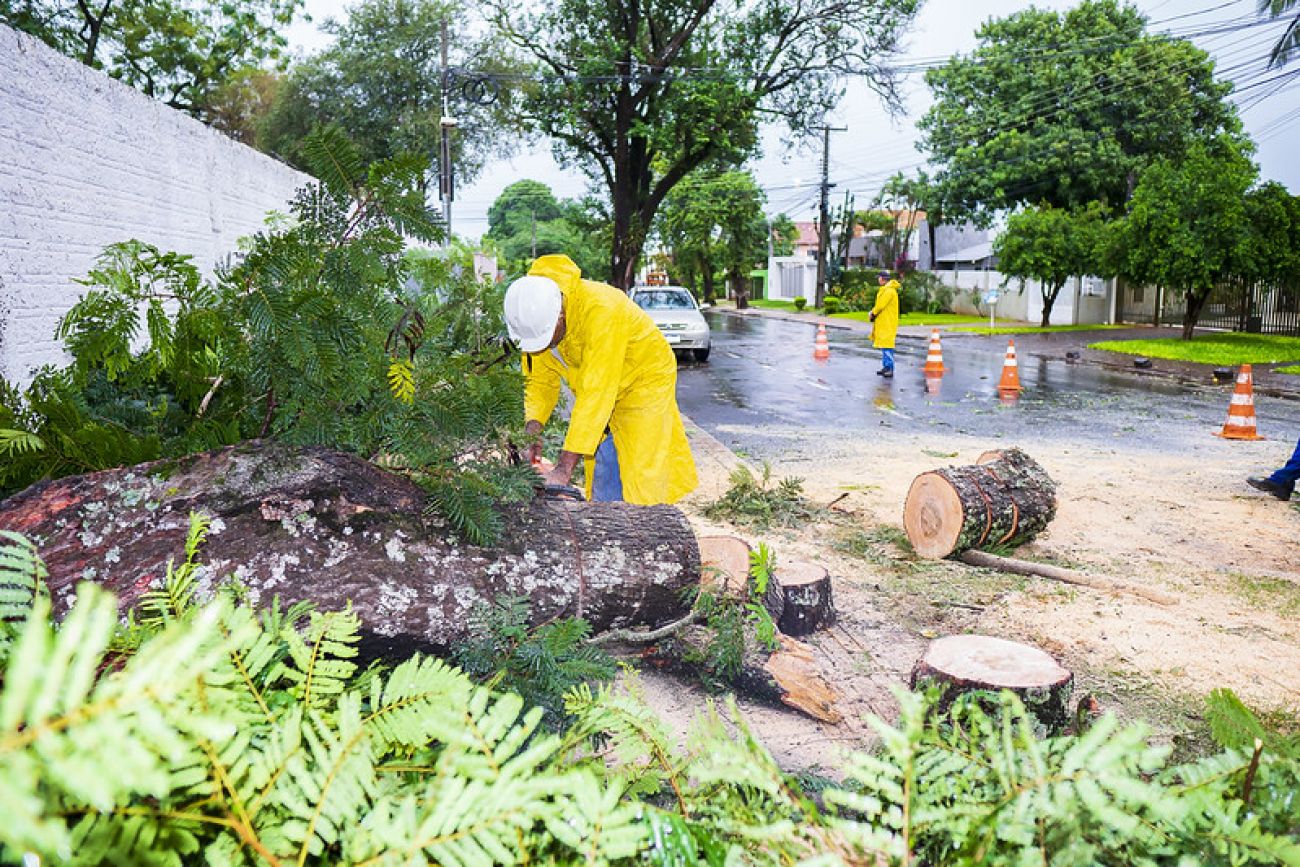 Precipitação média do vendaval em Foz foi de 45 mm