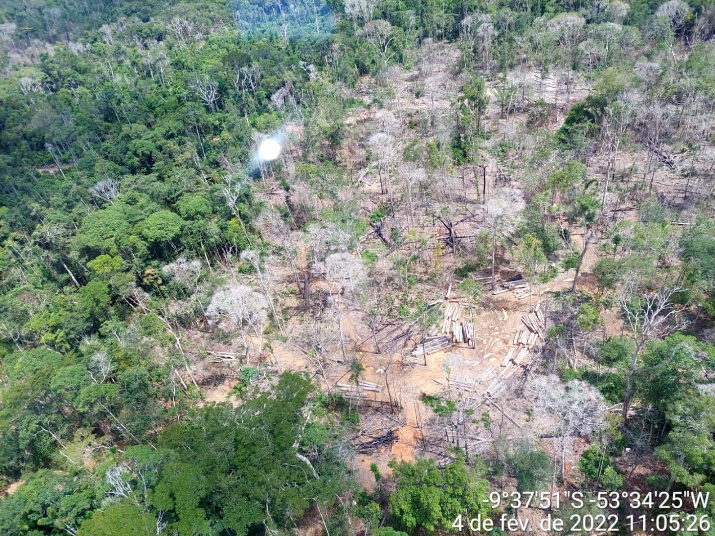 Polícia Federal deflagra operação contra desmatamento em terra indígena no Mato Grosso