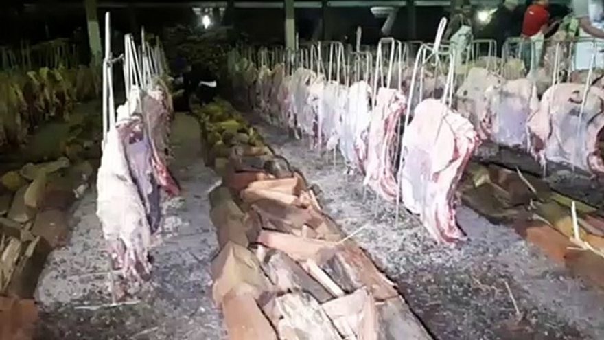 Sai pandemia, volta Festa do Trabalhador: Capital do Oeste volta a ser a Capital do Churrasco