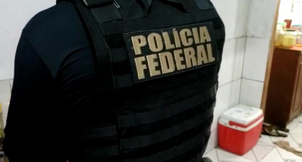 Operação Lâmia combate crimes relacionados ao abuso e exploração sexual infantil