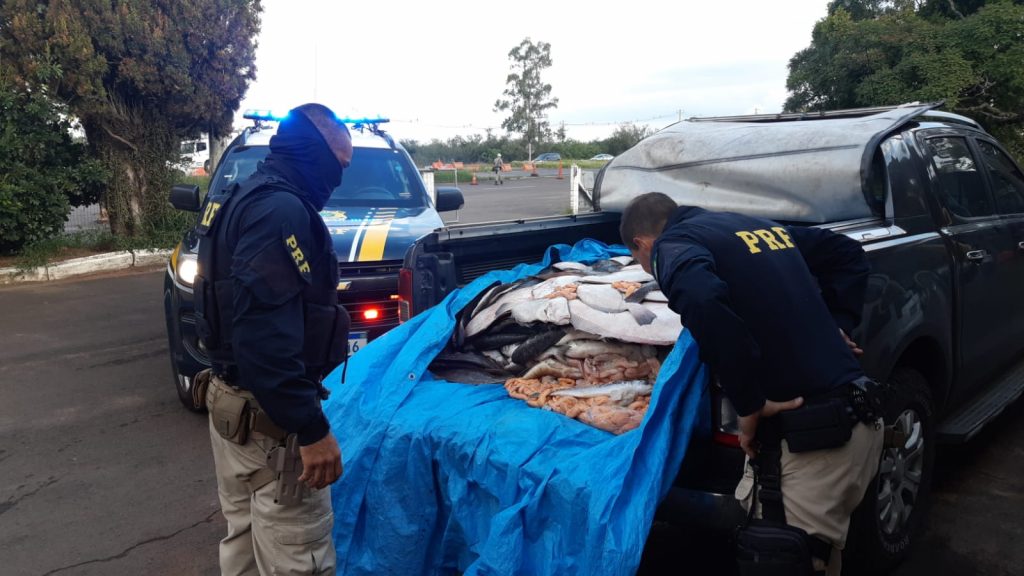 PRF apreende mais de uma tonelada de peixe transportado sem refrigeração