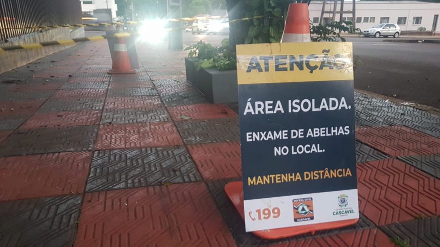 Enxame de abelha em árvore no São Cristóvão obriga Defesa Civil a interditar trecho; veja