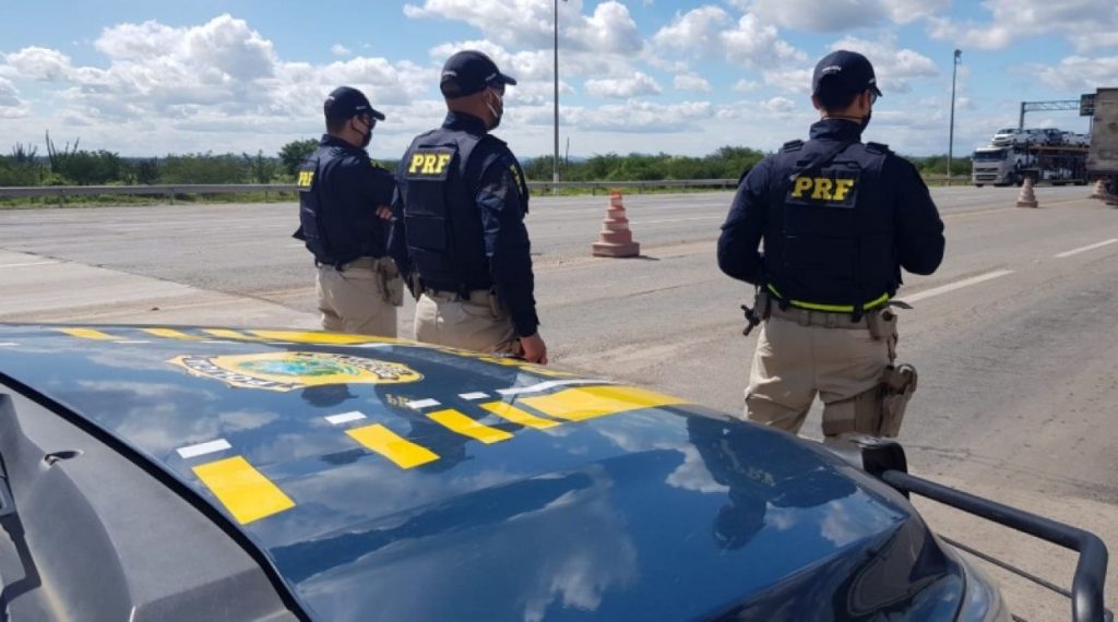 PRF flagra bovinos da raça nelore sendo transportados sem guia e nota fiscal na Chapada Diamantina