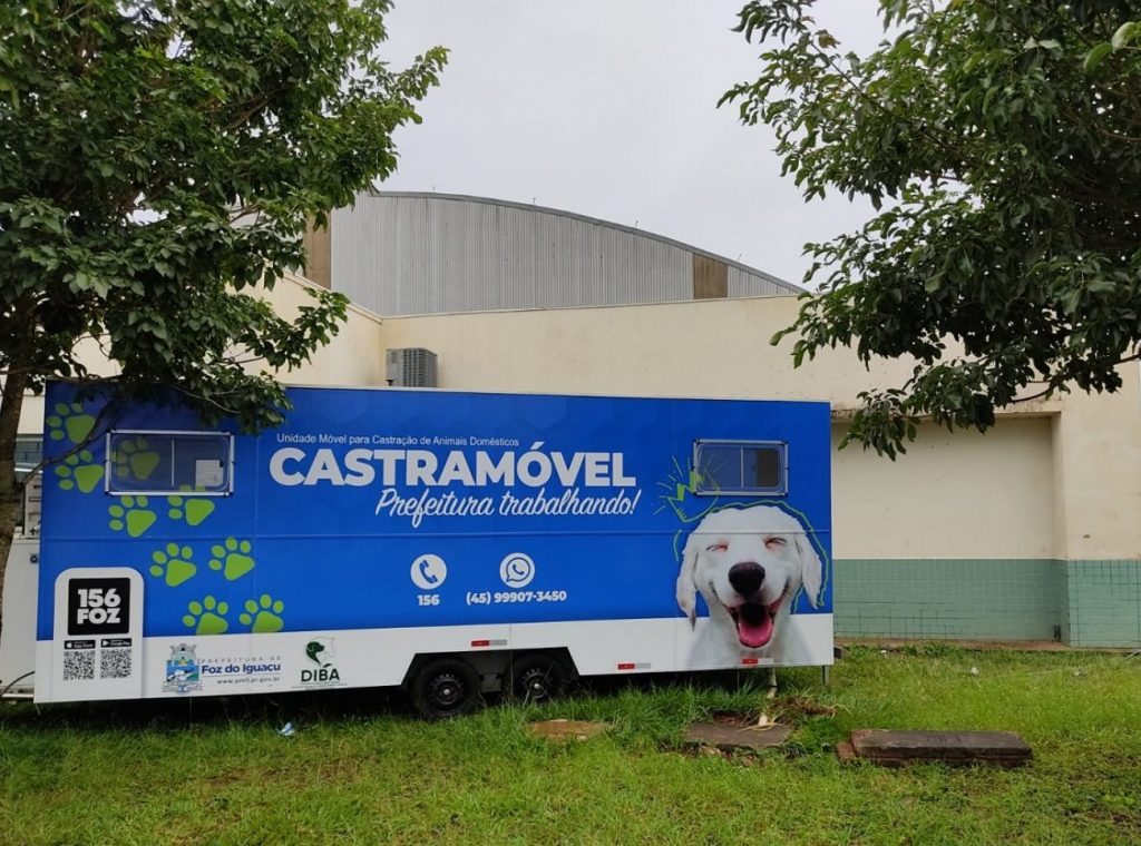 Prefeitura inicia segunda etapa do Programa de Castração de cães e gatos