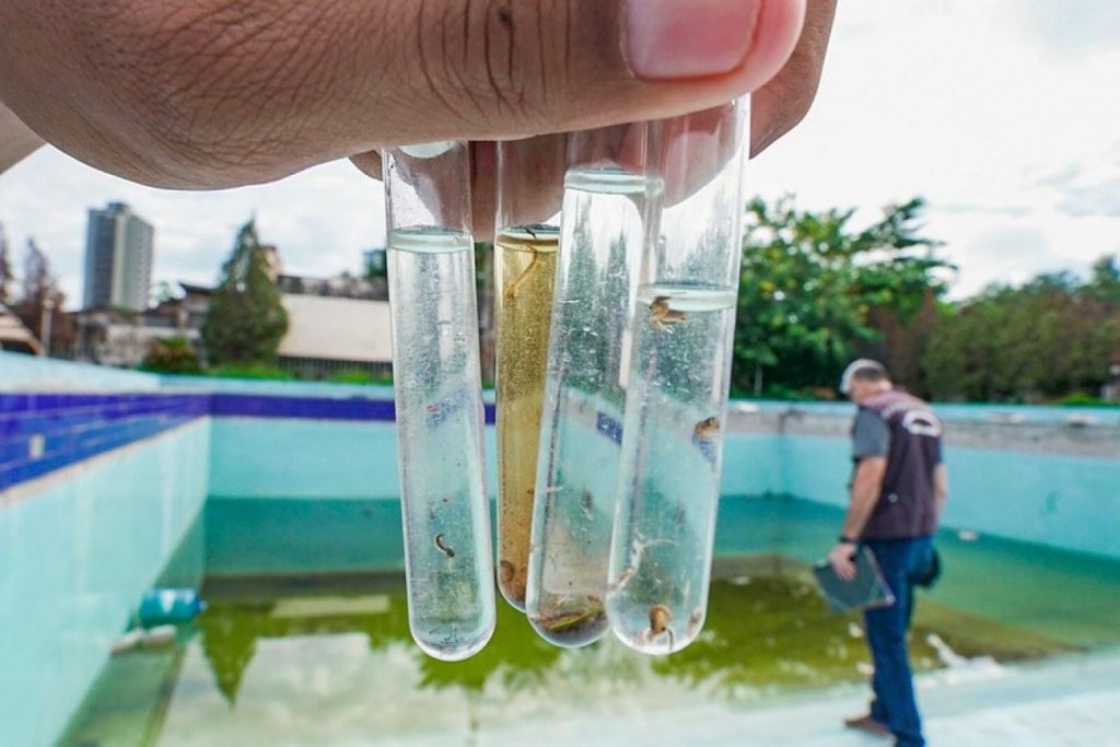 Período aumenta o risco de casos de dengue e município intensifica medidas de prevenção