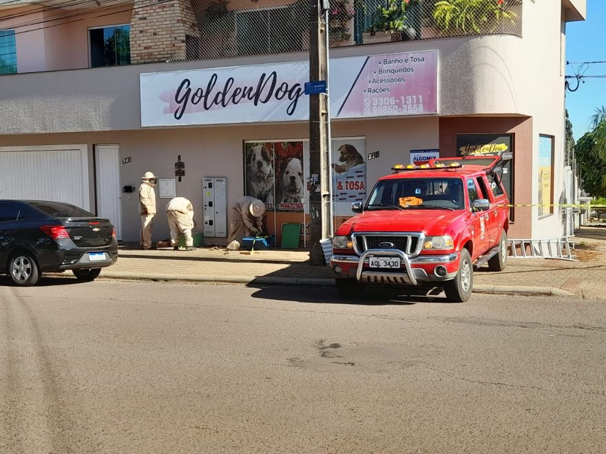 Defesa Civil retira enxame de abelhas que trazia risco a pedestres no Bairro Parque São Paulo
