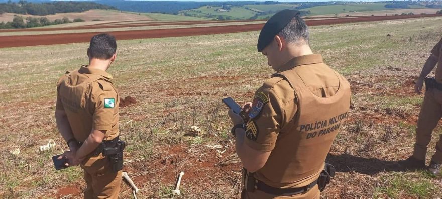 Ossada humana é encontrada em Santa Tereza do Oeste