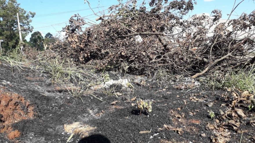 Incêndio em vegetação rasteira mobiliza Corpo de Bombeiros