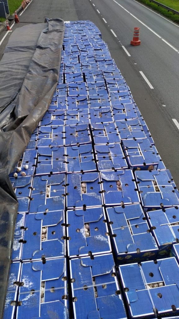 Em São Paulo, PRF apreende carga irregular de alho
