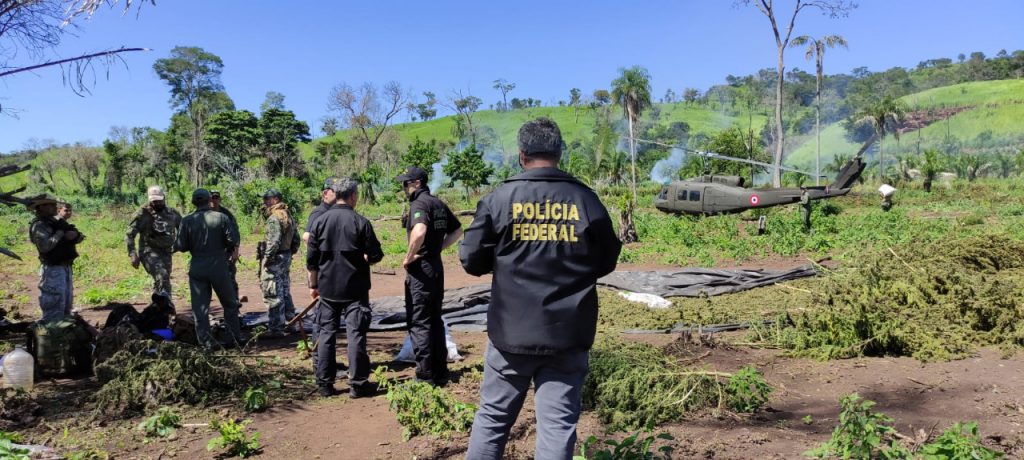 Polícia Federal realiza 31ª fase da Operação Aliança para erradicar cultivos de maconha no Paraguai