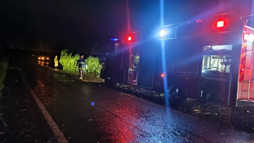 Bombeiros são mobilizados após queda de árvores na rodovia PR-486