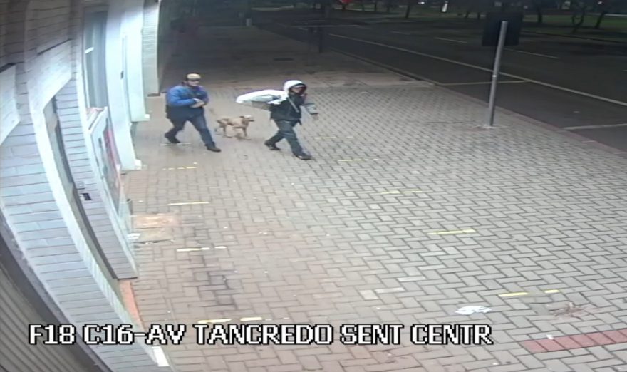 “Cão de guarda”: vídeo mostra cachorrinho dando cobertura a ladrões durante arrombamento