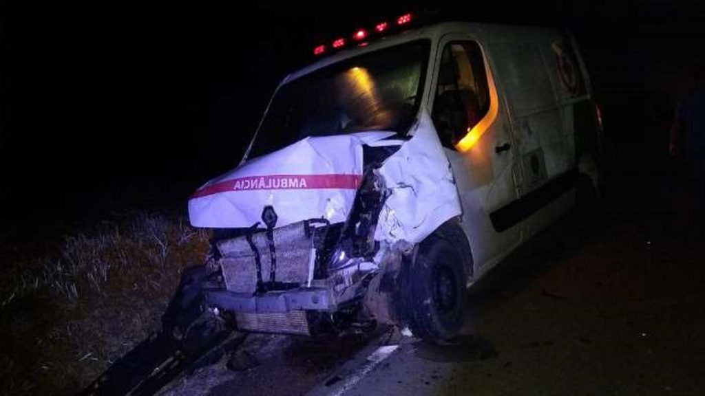 Ambulância atropela bois na pista da PR-435, em Congoinhas Ambulância atropela bois na pista da PR-435, em Congoinhas