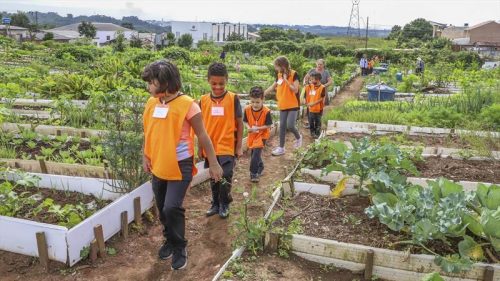 Curitiba – Circuito Municipal de Hortas Urbanas começa com crianças no Tatuquara Imagem referente a Curitiba – Circuito Municipal de Hortas Urbanas começa com crianças no Tatuquara