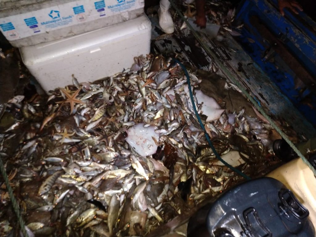 PF prende três pessoas por pesca ilegal em Angra dos Reis/RJ