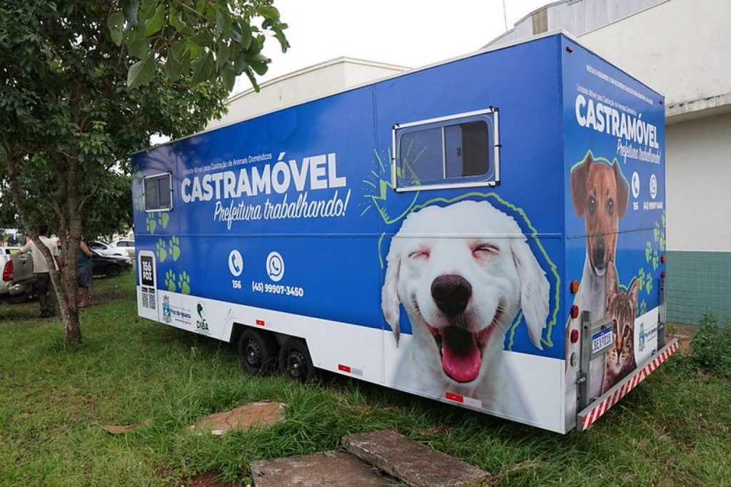 Prefeitura inicia castração de cães e gatos neste sábado na região do Porto Meira