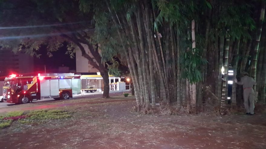 Corpo de Bombeiros é mobilizado para combater incêndio na Praça do Migrante, no Centro