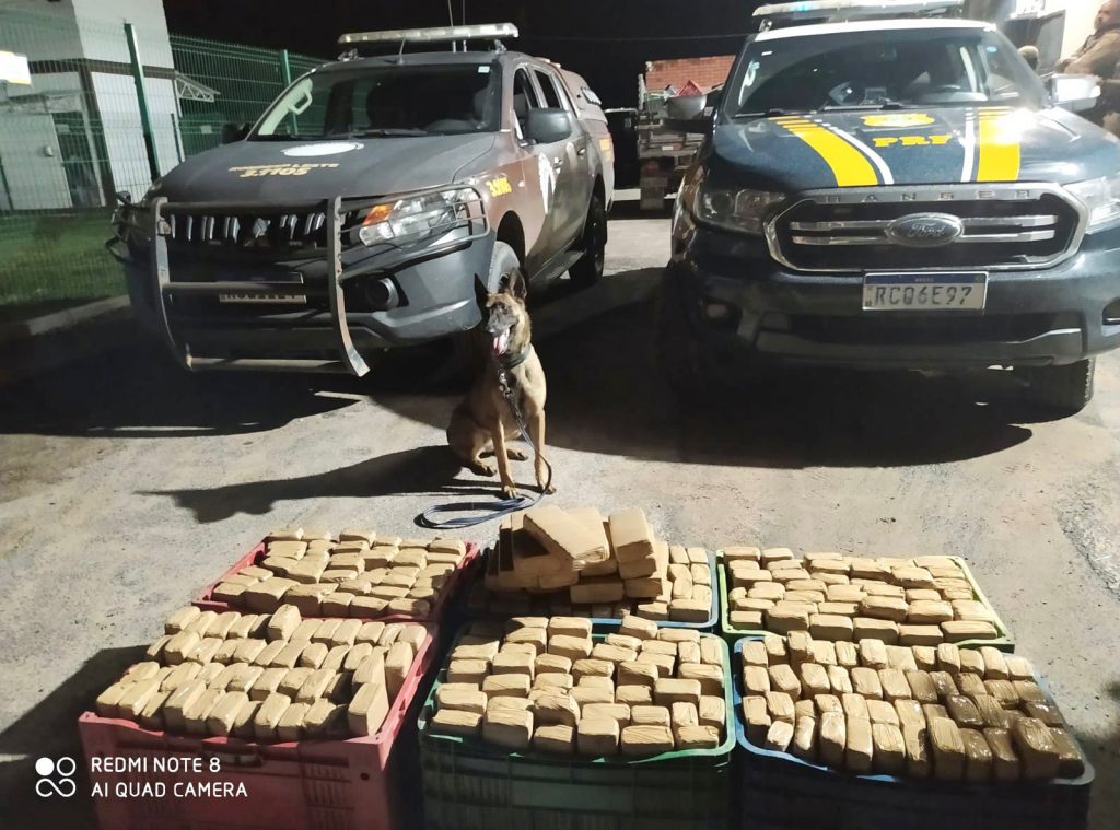 Com auxílio de cão farejador da Rondesp, PRF apreende 160 kg de maconha em Feira de Santana (BA)