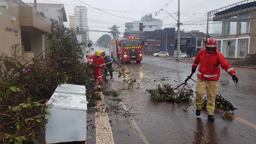 Árvore encharcada cai sobre a via na esquina das ruas Rua Pio XII e Recife