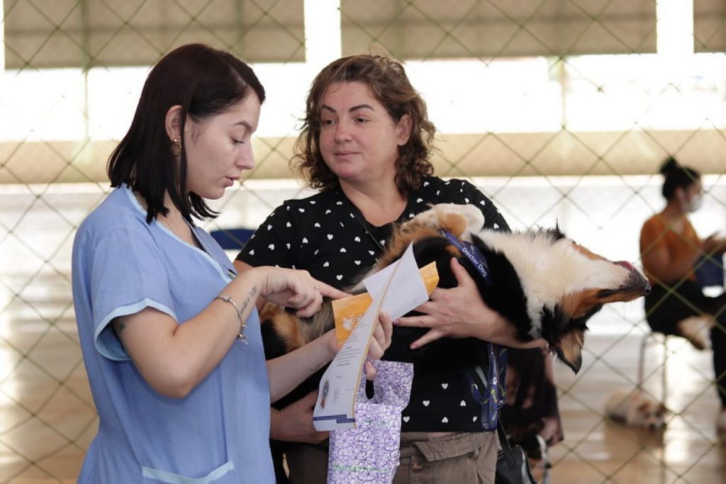 No Porto Meira, Castramóvel realiza 30 castrações de cães e gatos machos