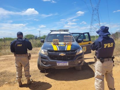 PRF resgata 44 pássaros silvestres transportados em condições precárias em Juazeiro Imagem referente a PRF resgata 44 pássaros silvestres transportados em condições precárias em Juazeiro