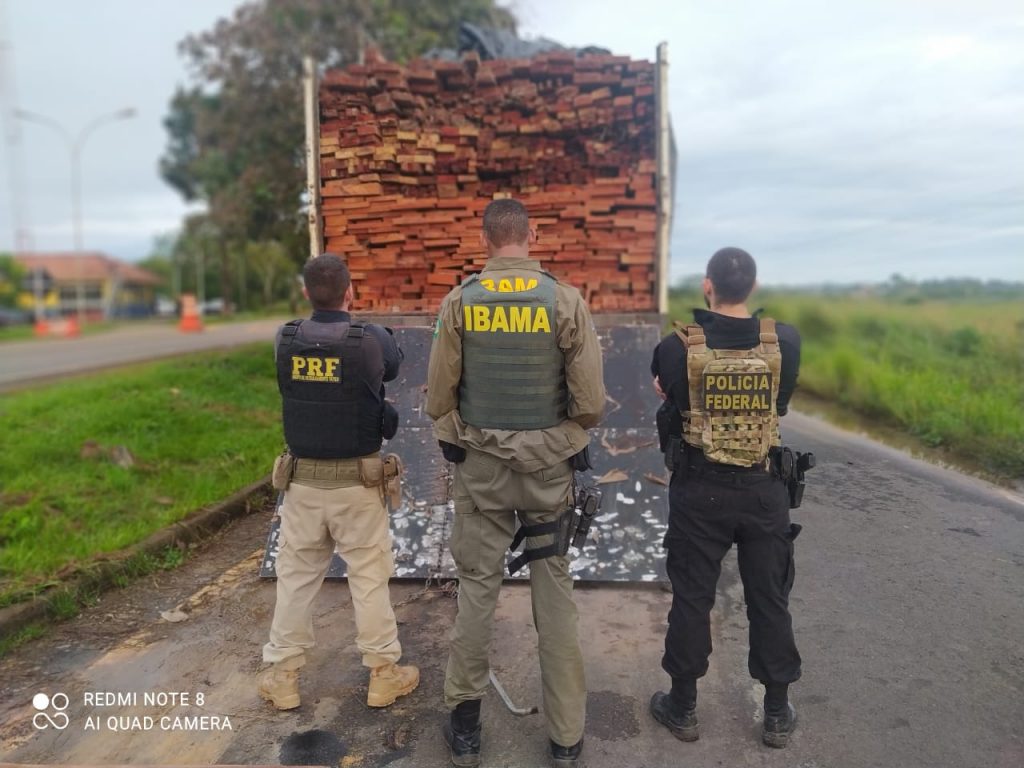 Ação conjunta da Polícia Federal reprime desmatamento no Pará