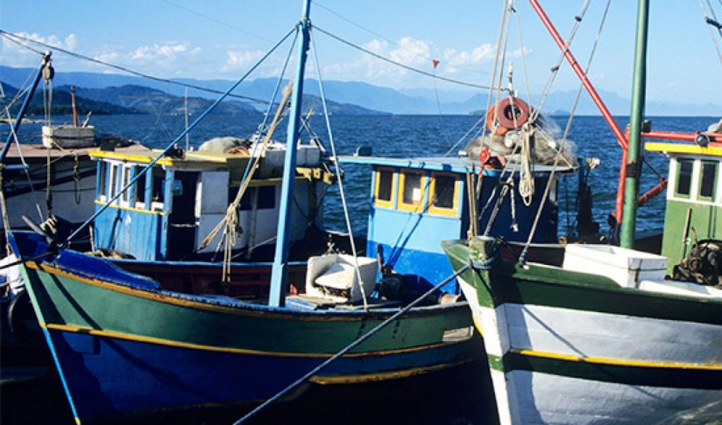 Homem autuado pelo Ibama por pesca predatória deve pagar multa de R$ 300 mil